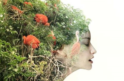 DITA NDERKOMBETARE E RRUZULLIT TOKESOR