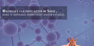 Shega konsiderohet si fruti kundra Plakjes