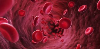 Studim: Gjaku Vegjetarian është 8 here më efektive në vrasjen e qelizave të kancerit