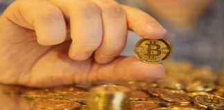 Arrestohet Rusi ne Kalkidiki, Mbreti i Bitcoins-ave