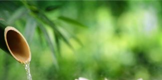 Sekretet e bukurisë nga Azia