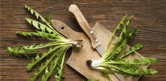 Ulni Kolesterolin tuaj me kete barishte te quajtuar Radhiqe