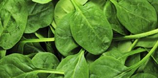 4 Arsyet për të ngrënë çdo ditë spinaq , dhe madje e aprovuar nga shkenca!