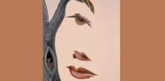 Test shikimi | Ajo që shihni me veshtrimin e pare, do të zbuloni personalitetin tuaj të fshehtë