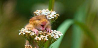 Jeta e eger dhe surprizat e saje :)