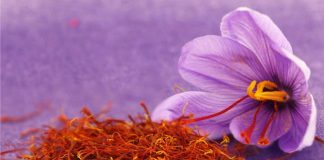 Shafrani i treguar ne detaje