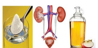 Infeksioni urinar, trajtimi natyral me 2 përbërës për rezultate të menjëhershme!