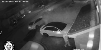 Për të mos ju vjedhur makinën tuaj, mbulojeni çelësin e makinës me letër alumini! (VIDEO)