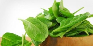 10 ushqime që zvogëlojnë rrezikun e kancerit të gjirit!