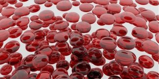 Pse njerëzit me grupin e gjakut 0 janë kaq të veçantë?