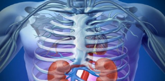 Veshka: Cilat janë 7 gabimet e përditshme të pafalshme që vënë shëndetin tonë në rrezik