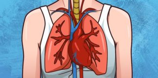 Nje zevendesues i zakonshem i sheqerit demton enet e gjakut dhe rrit rrezikon e atakut ne zemerdhe goditjes ne tru.