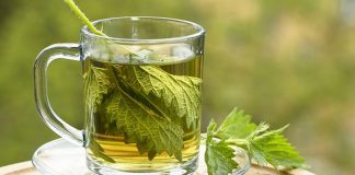 Pastroni gjakun tuaj dhe mbroni mëlçinë me bimën e hithërës