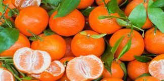 Çfarë vlerash ushqyese na ofrojnë mandarinat !!!