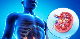 Kujdes: Këto janë ushqimet “helm” të veshkave që gjenden në çdo shtëpi!