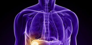 5 shenja që mëlçia juaj nuk po funksionon siç duhet dhe është përgjegjëse për shtimin e peshës