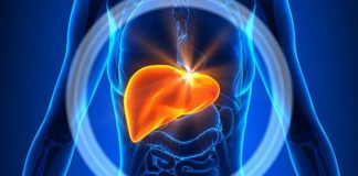 Ndotja: Cilat janë efektet në sistemin tonë tretës