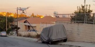 Droni nxjerr ne shetitje qenin,Pronari ne karantine.