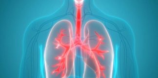 Vitamina që mbron mushkëritë, në cilat ushqime mund t’i gjejmë