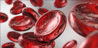 Gjaku i artë: Grupi më i rrallë i gjakut në botë