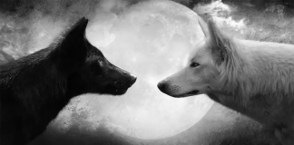 Dy ujqërit brenda nesh: Një pasqyrim i mençur indian