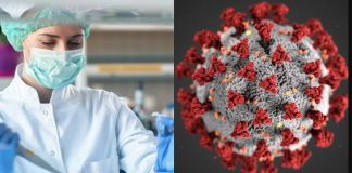 Studimet përmbysin koronavirusin: Sëmundja Covid-19 është vaskulare, jo frymëmarrëse