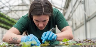 5 argetimet që na mprehin mendjen dhe na japin lumturi, sipas studimeve