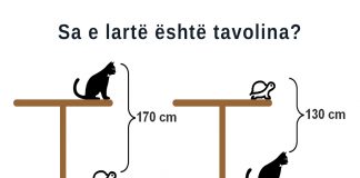 Sa e lartë është tavolina?