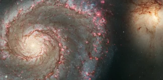 I mbrojtur: A është universi një varrezë e vetmuar? Kjo teori nënkupton që njerëzimi mund të jetë vetëm.