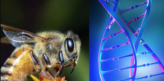 Misteri i jetës nuk mund të zgjidhet nga shkenca