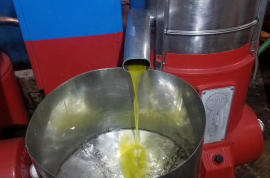 Vendi fabbrica di olive in buone condizioni